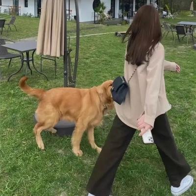 饭后一席谈
